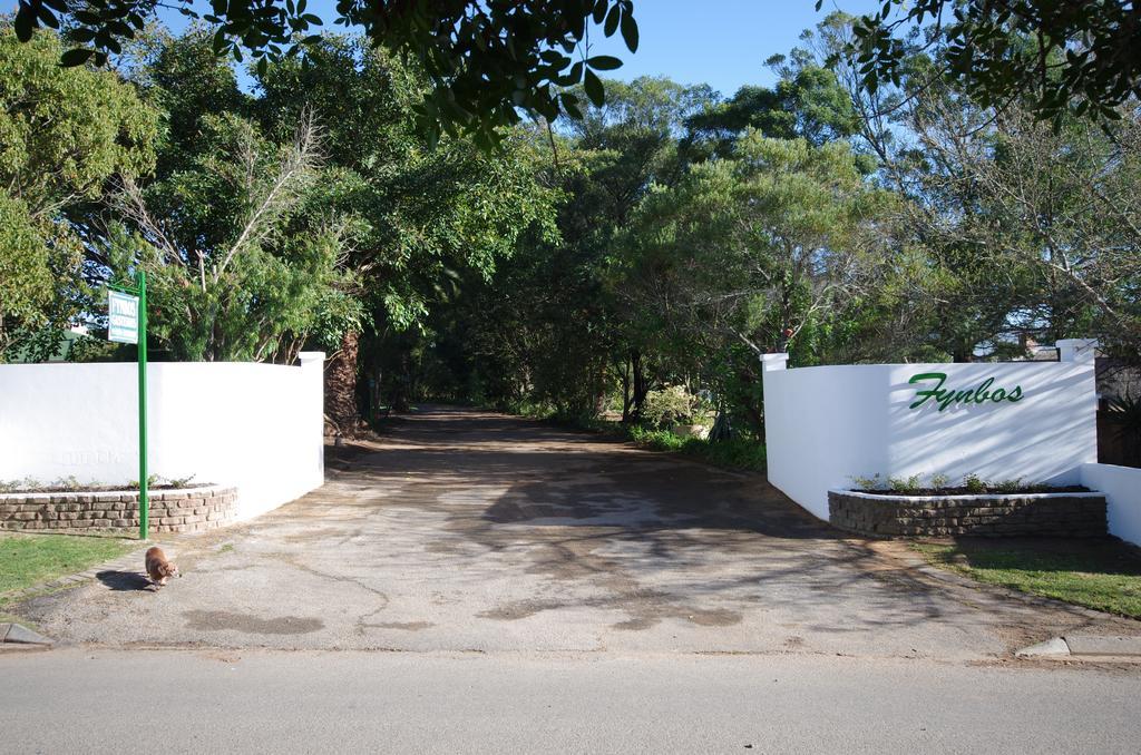 Fynbos Guest House 里弗斯代尔 外观 照片