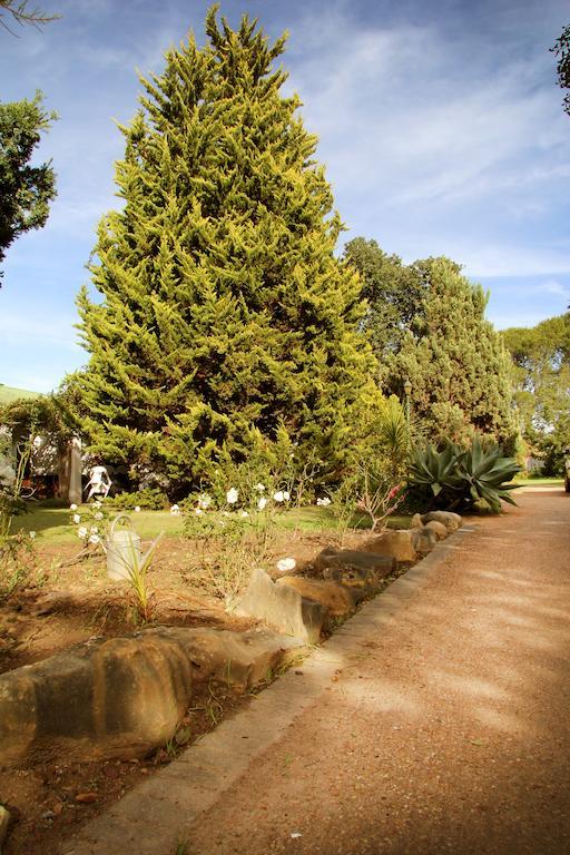Fynbos Guest House 里弗斯代尔 外观 照片